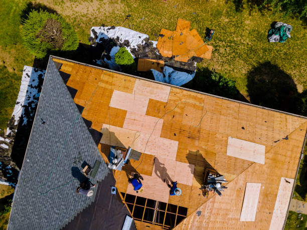 Best Roof Restoration Services  in Center Line, MI